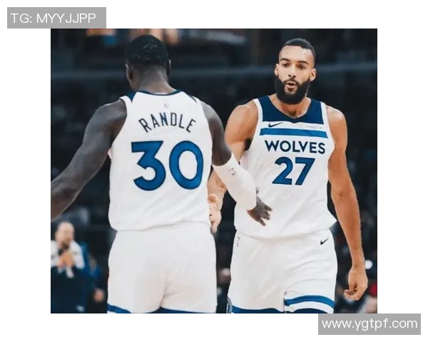 森林狼战绩起伏不定！专家解读球队当前困境