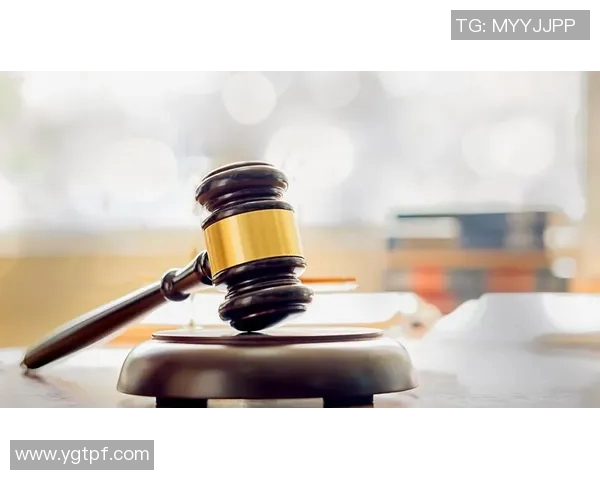 肖像权法律纠纷的现状分析与解决路径探讨